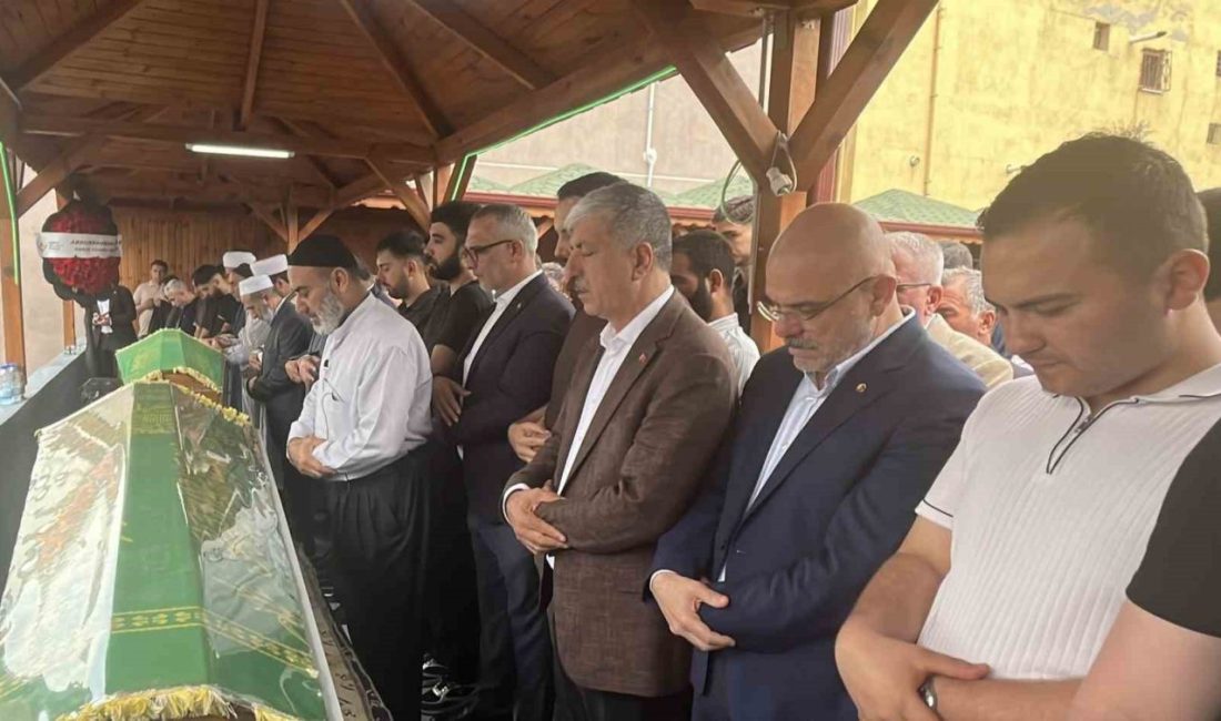 Kocaeli’de tıra arakadan çarpan otomobilde hayatını kaybeden baba ile oğul