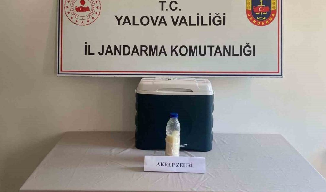 5 milyon dolarlık akrep zehri Yalova’da yakalandı Gramı altından katbekat değerli olduğu belirtilen akrep zehri, Yalova’da jandarmanın