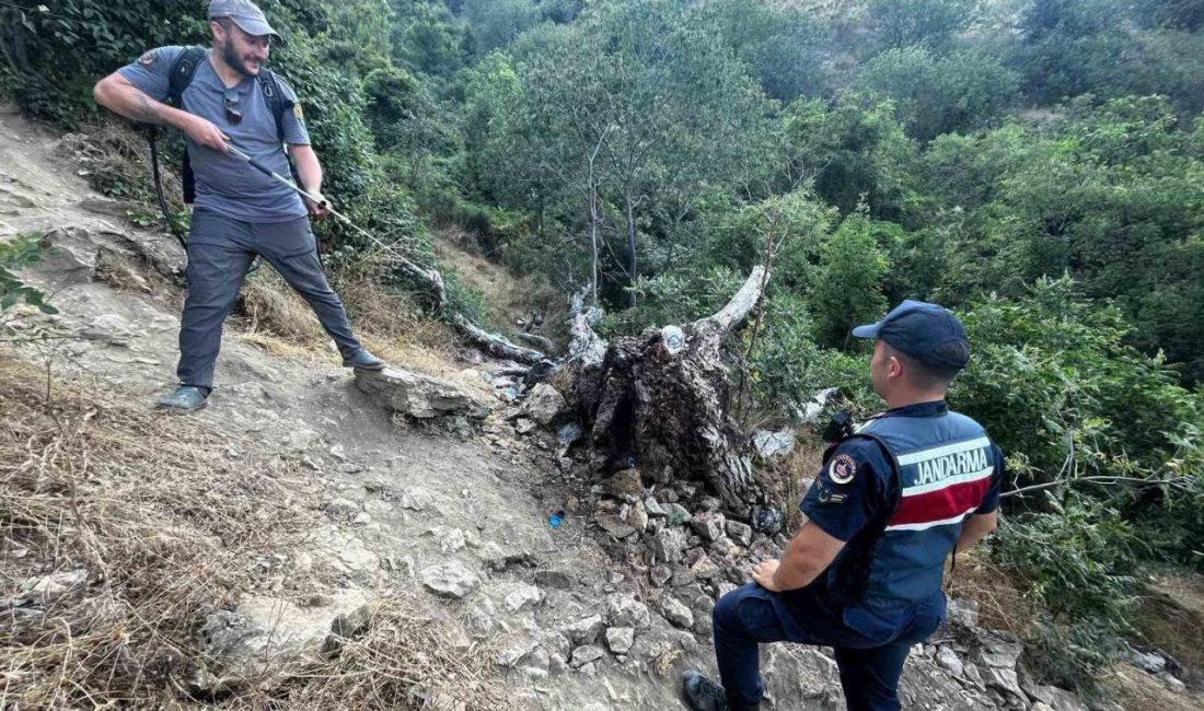 Bilecik’te çıkan ağaç yangını korku dolu anlara sebep oldu. Yangın,