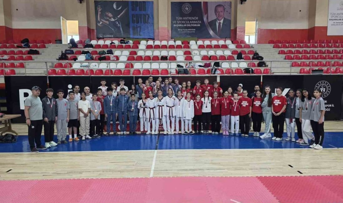 Bilecik’te Anadolu Yıldızlar Ligi (ANALİG) Taekwondo İl Seçmeleri tamamlandı. Bilecik