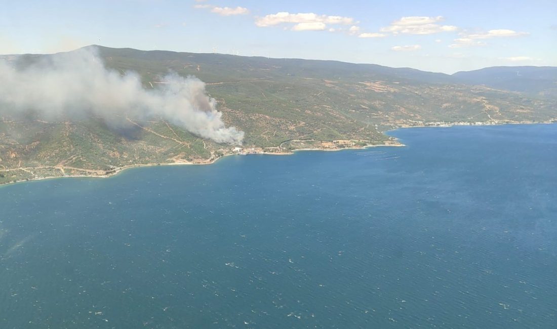 Armutlu Kapaklı hattında orman yangını: Ekipler müdahaleye başladı Yalova’nın Armutlu ilçesi Kapaklı köyü hattında orman yangını meydana geldi.