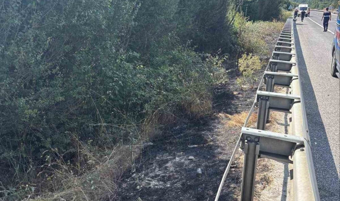Bilecik’te seyir halinde bir araçtan atılan sigara izmariti yangına sebep