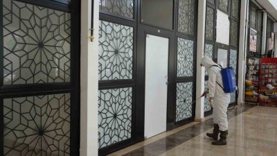 Türkiye’nin farklı şehirlerinde görülmeye başlayan ve kamuoyunda gündem oluşturan çekirge