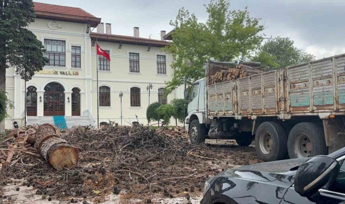 Bilecik Valiliği bahçesindeki bazı çam ağaçları hastalıklar nedeniyle kuruduğu, yapısal