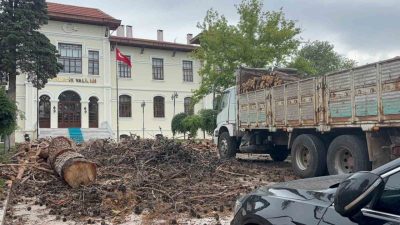 Bilecik Valiliği bahçesindeki bazı çam ağaçları hastalıklar nedeniyle kuruduğu, yapısal
