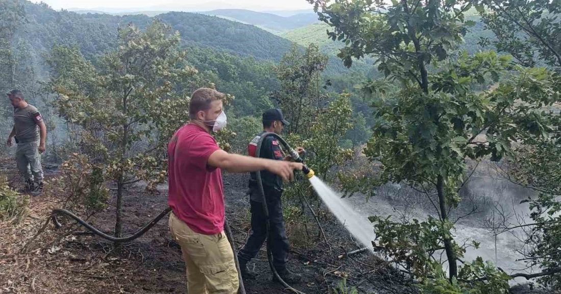Bilecik’te 20 dönümlük alanda çıkan yangın, çevredeki ormanlık alana sıçramadan