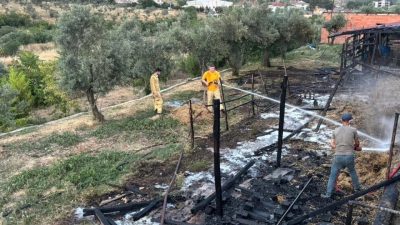 Bilecik’te bir ahırda çıkan yangında içinde hayvan olmaması muhtemel bir