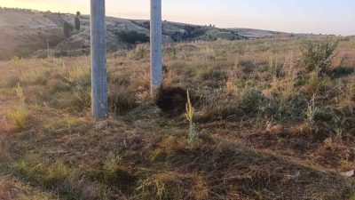 Bilecik’te elektrik akımına kapılan kuş yangına sebep oldu. Olay, Bilecik’in
