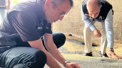 Bilecik’te hasat sezonunun başlamasıyla birlikte kanola ve ayçiçeği tohumu alımları