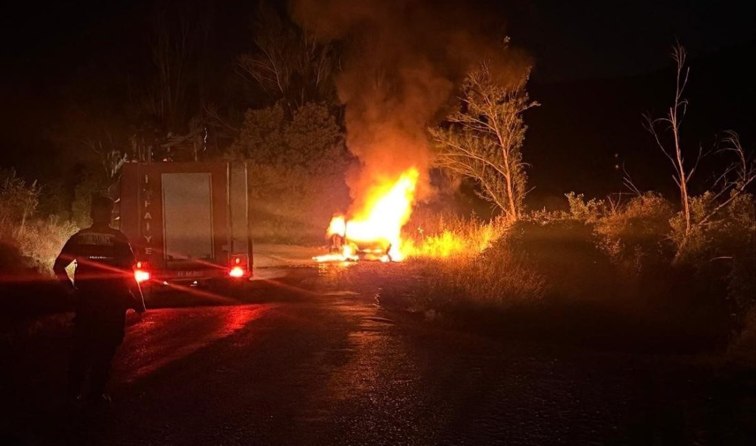 Bilecik’te seyir halindeki otomobilde çıkan yangında araç kül oldu. Yangın,