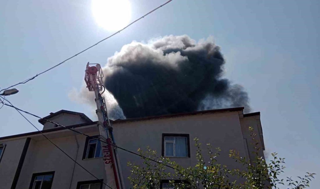 Bolu’nun Gerede ilçesinde bir apartmanın enerji odasında çıkan ve çatıya