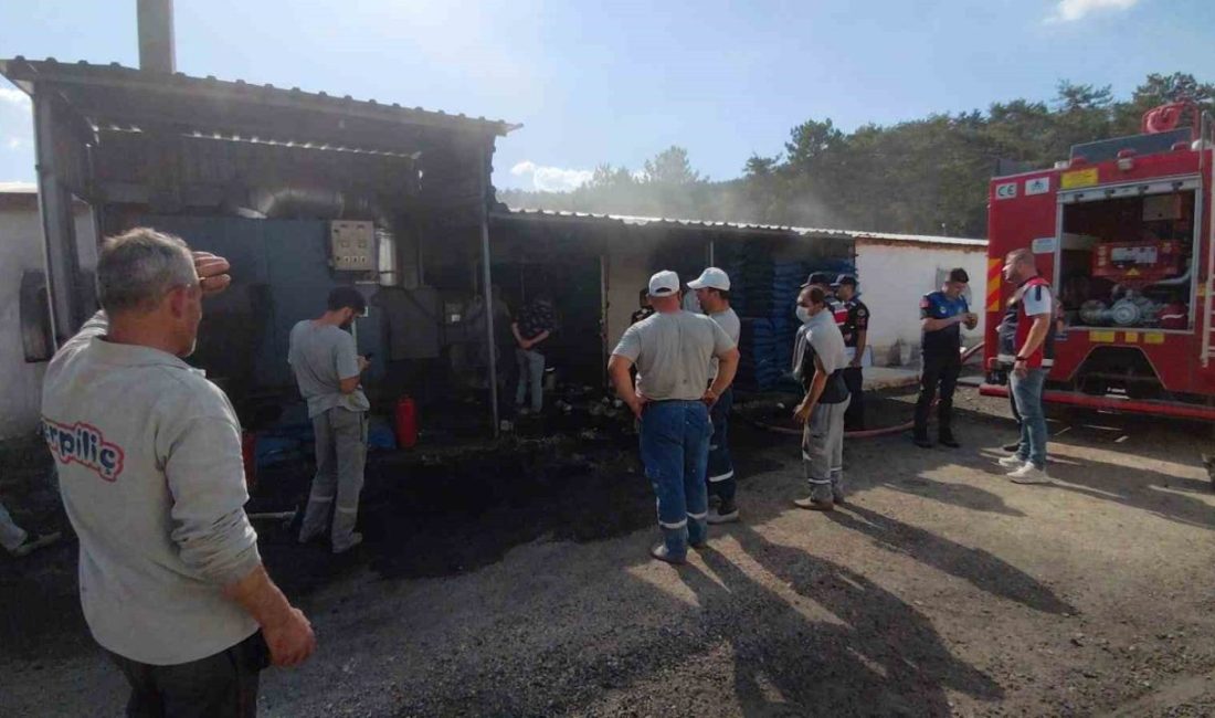 Bolu’da faaliyet gösteren Erpiliç firmasına ait damızlık kümeslerinde çıkan yangın