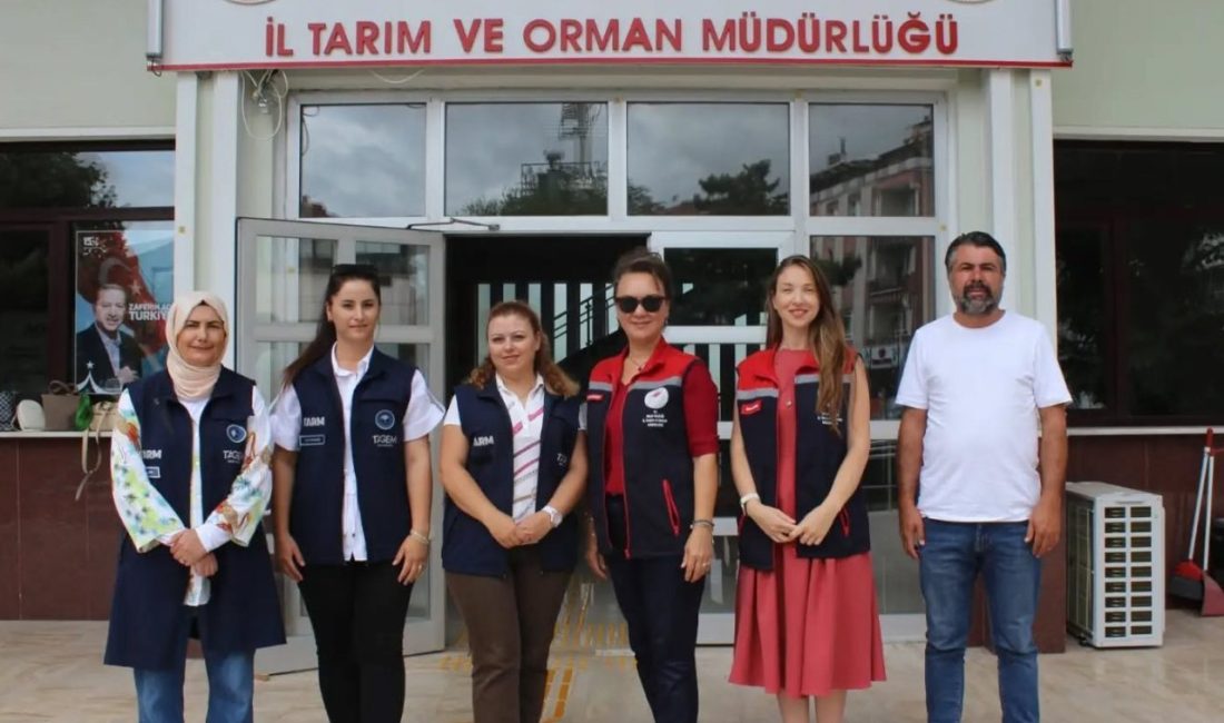 Bolu’da “Kadın Eliyle Nohutta Bereket” projesi çerçevesinde kadın çiftçilerce toprakla