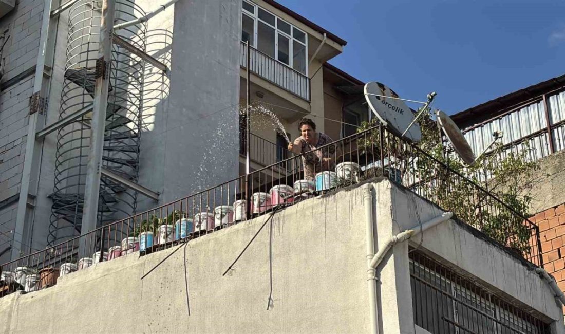 Bolu’da korkutan ot yangını: İtfaiyeyi beklemeden kova ve hortumlarla söndürdüler Bolu’da bir otoparkta otluk alanında çıkan yangın, mahalle sakinlerinin müdahalesiyle