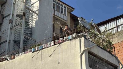 Bolu’da bir otoparkta otluk alanında çıkan yangın, mahalle sakinlerinin müdahalesiyle