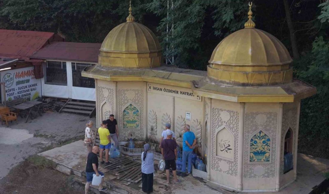 Düzce-Zonguldak kara yolu güzergahındaki ormanlık alanda yer alan doğal kaynak