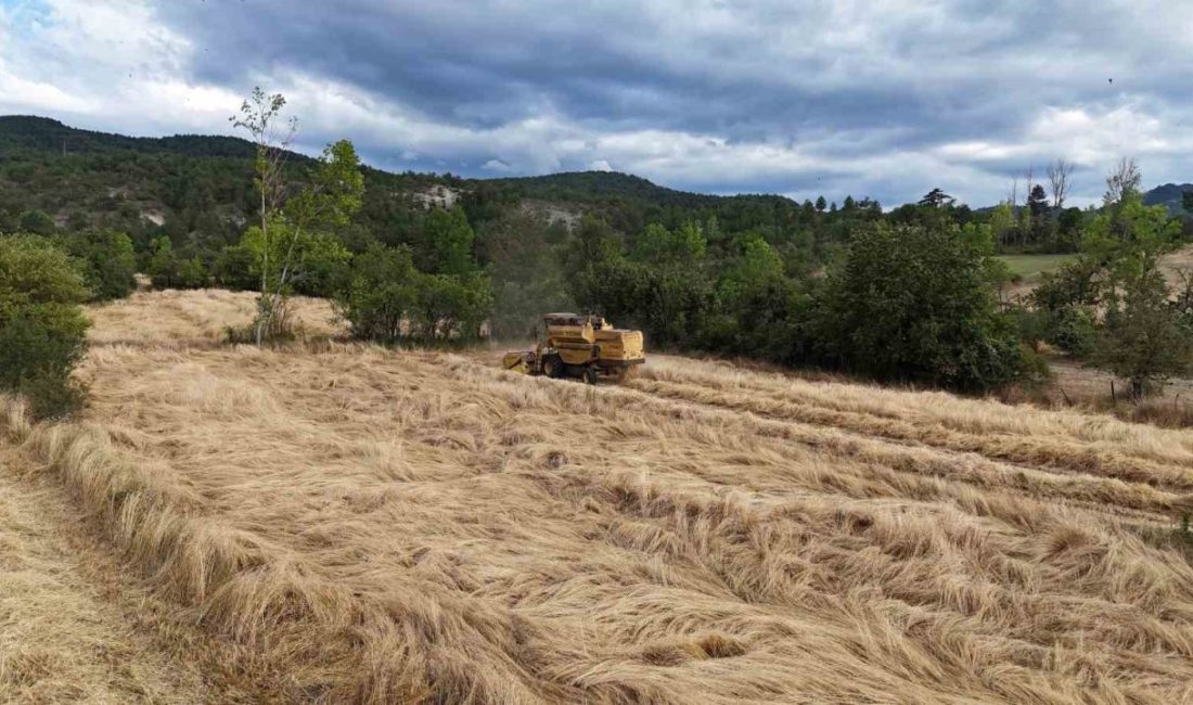 Kastamonu’nun İhsangazi ilçesinde, geçmişi 12 bin yıl öncesine dayanan ve