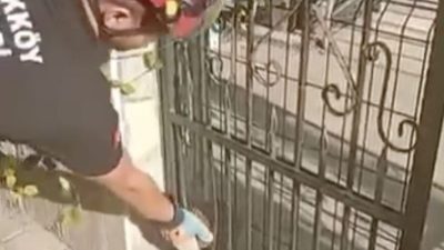 Yalova’nın Çiftlikköy ilçesinde demir kapıya sıkışan kirpinin yardımına itfaiye ekipleri