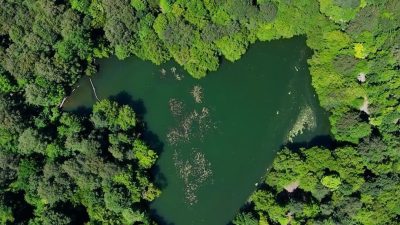 Bolu’nun dünyaca ünlü doğa harikası Yedigöller Milli Parkı havadan görüntülendi.