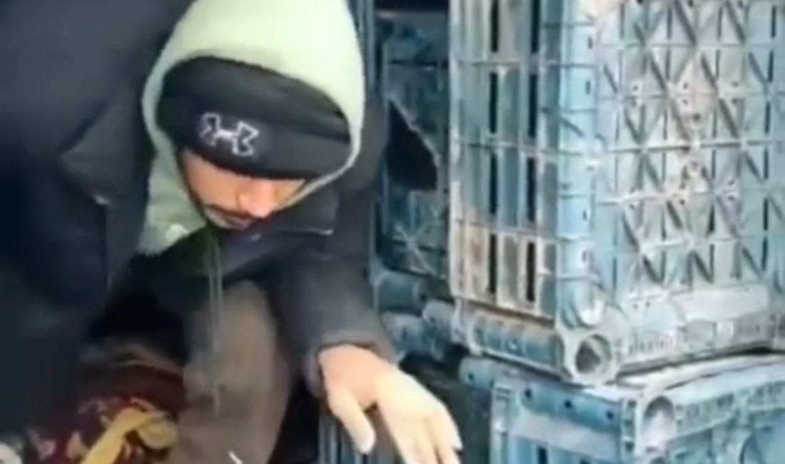 Düzce’de 1 düzensiz göçmen yakalandı Düzce’de yasa dışı yollarla yurda girdiği tespit edilen 1 düzensiz