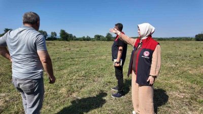 Düzce’de 400 dönümlük merada ıslah çalışması tamamlandı, otlatma kapasitesi iki