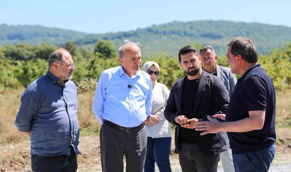 Düzce Belediye Başkanı Dr. Faruk Özlü, 2026 yılı için ayrılan