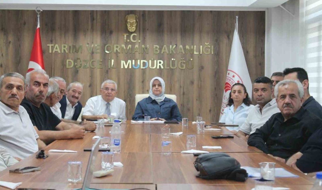 Düzce’de fındık rekolte tahmin çalışmaları değerlendirildi Düzce’de 2026 yılı fındık rekolte tahmin çalışmaları kapsamında gerçekleştirilen saha