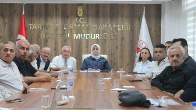 Düzce’de 2026 yılı fındık rekolte tahmin çalışmaları kapsamında gerçekleştirilen saha
