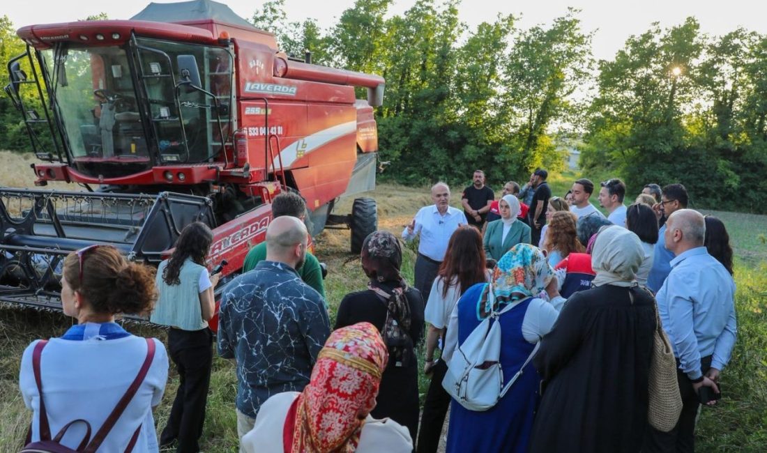 Düzce Belediyesi Tarım Akademisi arazisinde 7 dönümlük alanda ilk kez