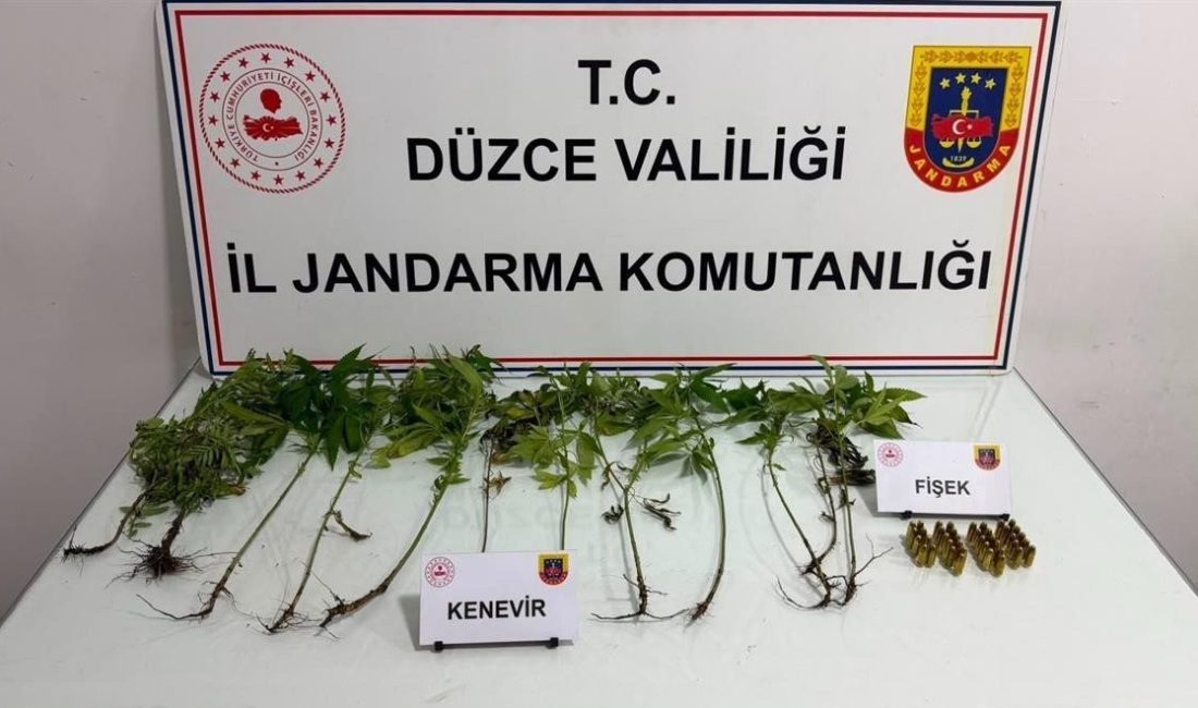 DÜZCE(İHA) – Düzce’nin Çilimli ve Akçakoca ilçelerinde Jandarma ekiplerince gerçekleştirilen