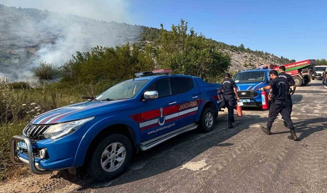Bilecik’te elektrik direğinden çıkan kıvılcım orman yangınına sebep oldu. Yangın,