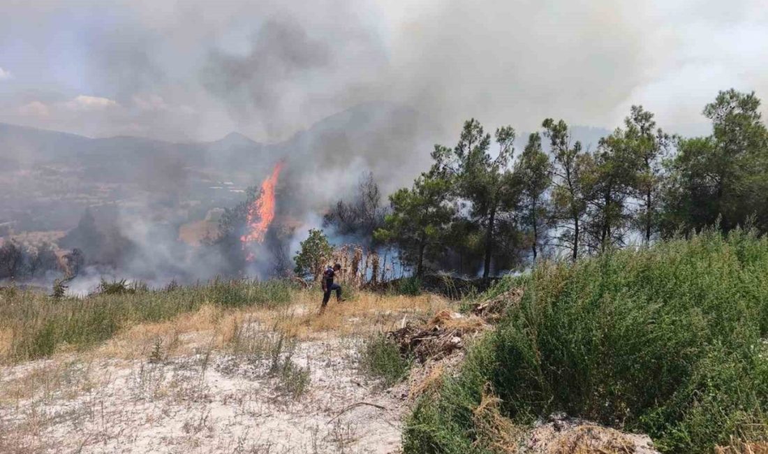 Elektrik direğinden çıkan yangın korkuttu Bilecik’te elektrik direğinden çıkan yangın korku dolu anlar yaşattı. Yangın,