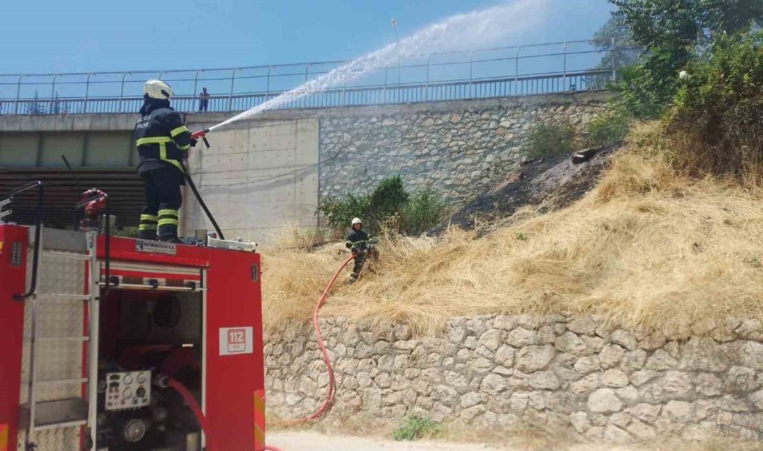 Bilecik’teki bir ağaçlık alanda çıkan ve paniğe sebep olan yangın