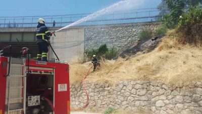 Bilecik’teki bir ağaçlık alanda çıkan ve paniğe sebep olan yangın