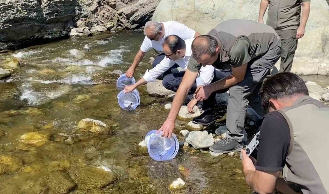 Kastamonu’nun Bozkurt ilçesinde, 2021 ve 2022 yıllarında meydana gelen sel