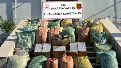 Sakarya’nın Serdivan ilçesinde jandarma ekiplerince düzenlenen kaçakçılık operasyonunda, 560 bin