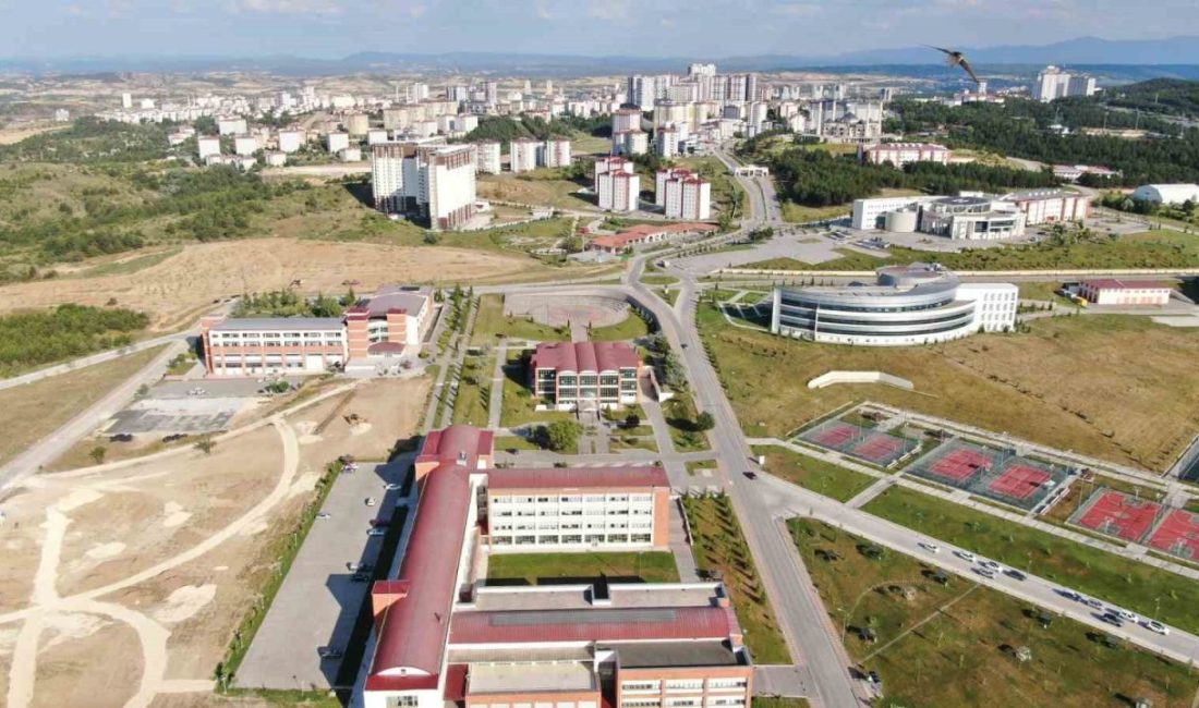 Kastamonu Üniversitesi’nde gece mavi ışık maruziyetinin metabolik ve nörobiyolojik etkileri