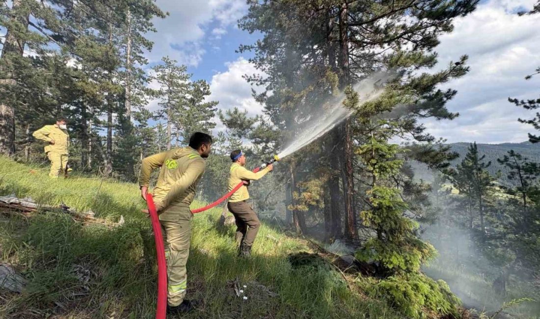 Kastamonu’nun Tosya ilçesinde çıkan orman yangınında yaklaşık 7,5 dönüm alan