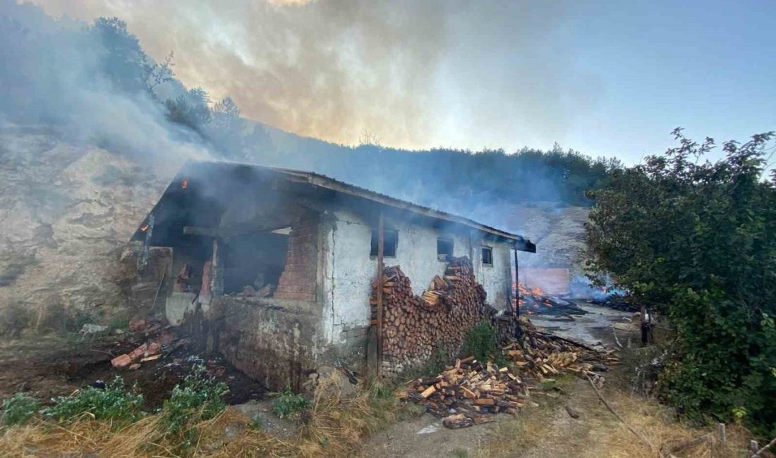 Kastamonu’da evde çıkan yangın ormana sıçradı Kastamonu’da ahşap evde çıkan yangın ormanlık alana sıçradı. Alevlere havadan
