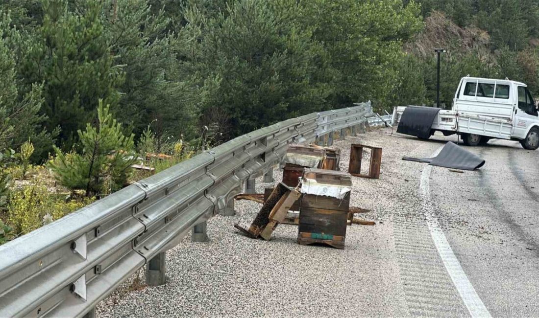 Kastamonu’nun Devrekani ilçesinde bariyerlere çarpan kamyonetteki 2 kişi yaralanırken, etrafa