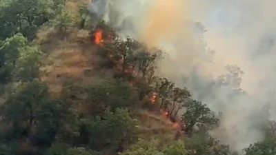 Kastamonu’nun Tosya ilçesinde çıkan orman yangını, orman ve itfaiye ekipleri