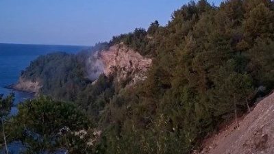 Kastamonu’nun Karadeniz’e kıyısı bulunan Cide ilçesinde ormanlık alana düşen yabancı