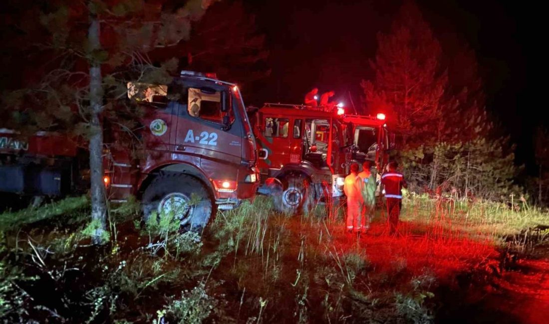 Kastamonu’daki orman yangını kontrol altına alındı Kastamonu’da yanan evdeki alevlerin sıçraması neticesinde çıkan orman yangını 4.5