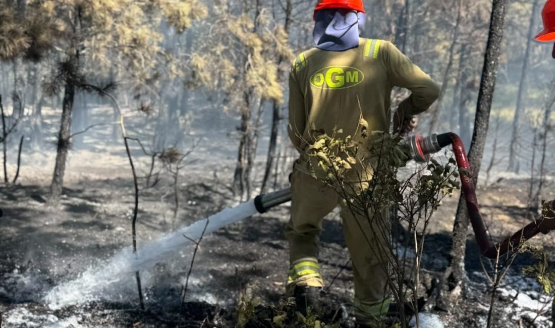 Kastamonu’daki orman yangını söndürüldü Kastamonu’da ormanlık alanda çıkan yangın, havadan ve karadan yapılan müdahaleyle