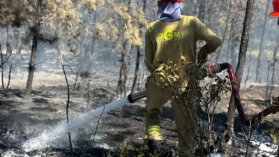 Kastamonu’da ormanlık alanda çıkan yangın, havadan ve karadan yapılan müdahaleyle