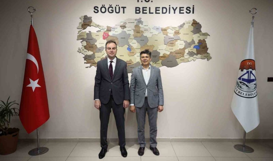 Bilecik’in Söğüt ilçesinde sık sık kazaların meydana geldiği Bozüyük Yolu