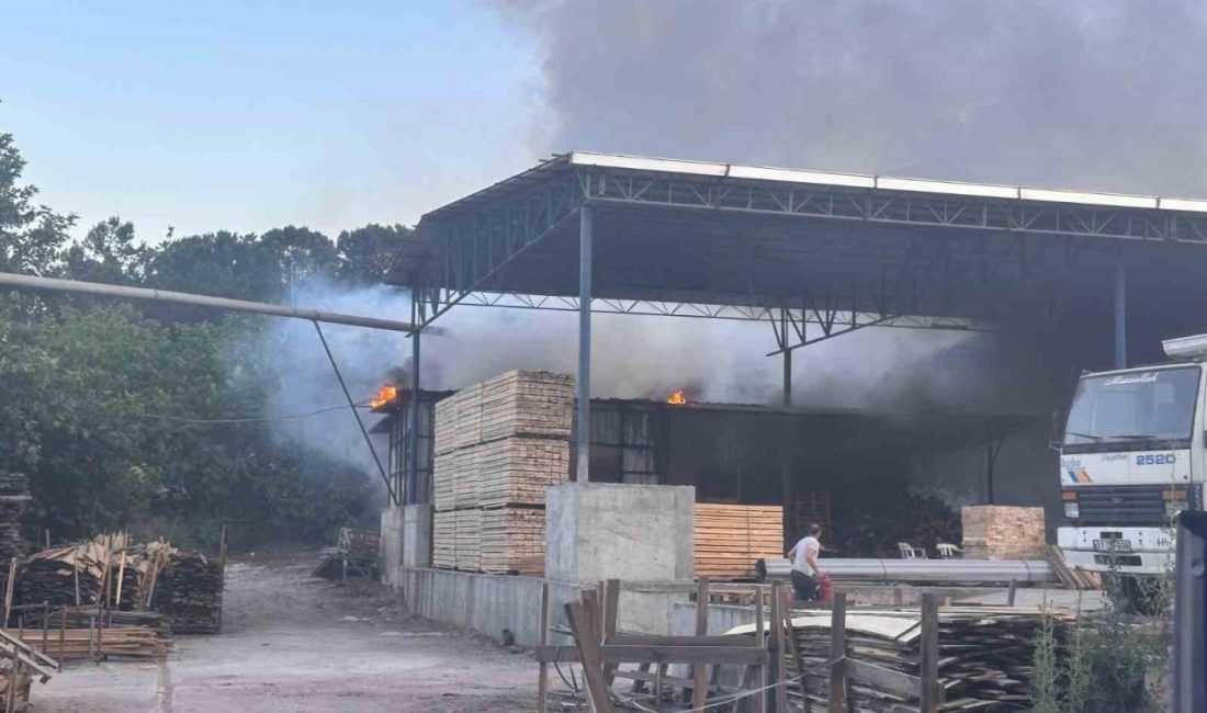 Bilecik’te bir kereste işletmesinde çıkan yangfın, itfaiye ekipleri tarafından yangın