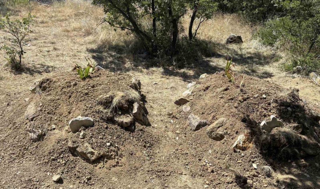 Kiraz yedikten sonra zehirlenerek öldükleri iddia edilen çift yan yana toprağa verildi Kastamonu’nun Tosya ilçesinde ilaçlanan ağaçtan topladığı kirazları yedikten sonra hayatını