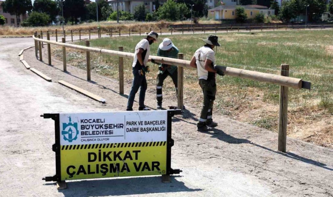 Kocaeli’nin Gölcük ilçesindeki Rahvan At Bakım ve Konaklama Tesisi’nde, 12