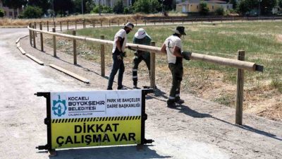 Kocaeli’nin Gölcük ilçesindeki Rahvan At Bakım ve Konaklama Tesisi’nde, 12